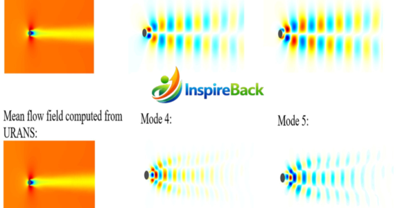 dynamic mode decomposition