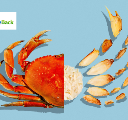 dungeness crab