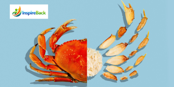 dungeness crab