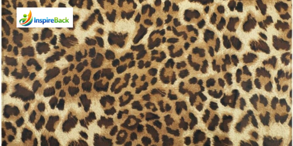 cheetah print