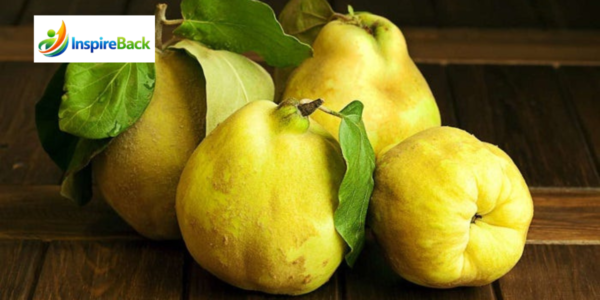 quince fruit